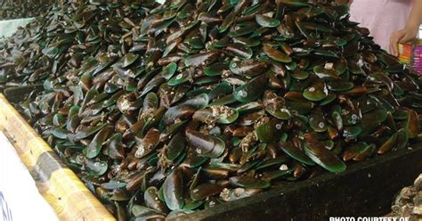 Tahong chips are back: Cavite shellfish ban lifted after .